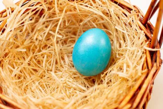 One blue easter eggs in a basket of sawdust