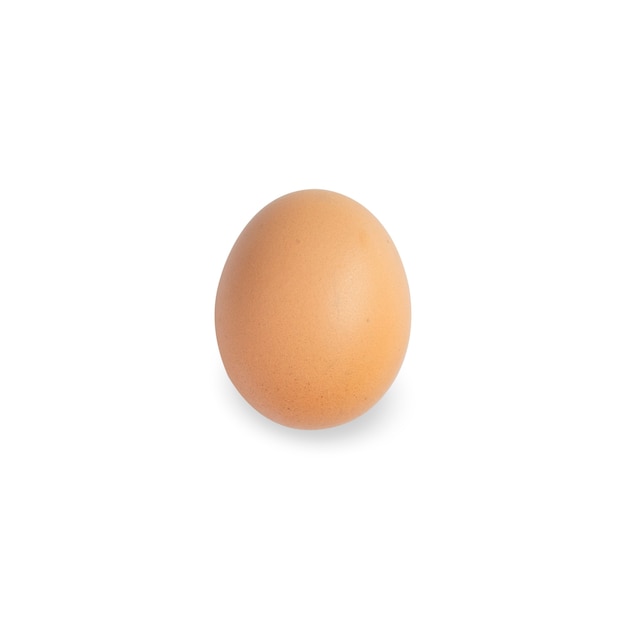 One brown egg on isolated white background