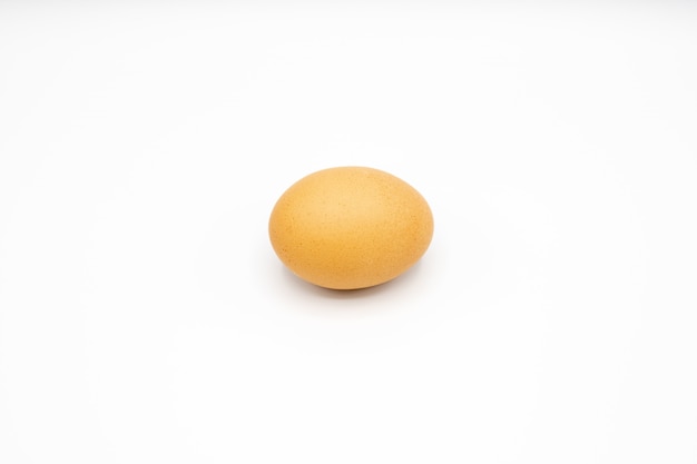 one brown egg on white background