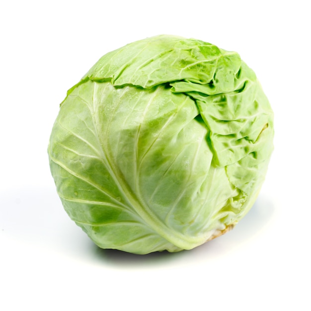 One cabbage yield isolated on white background.