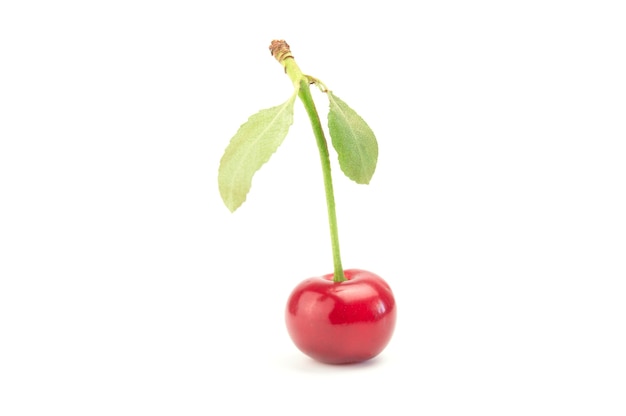 One cherry with green leaf isolated on white background cutout