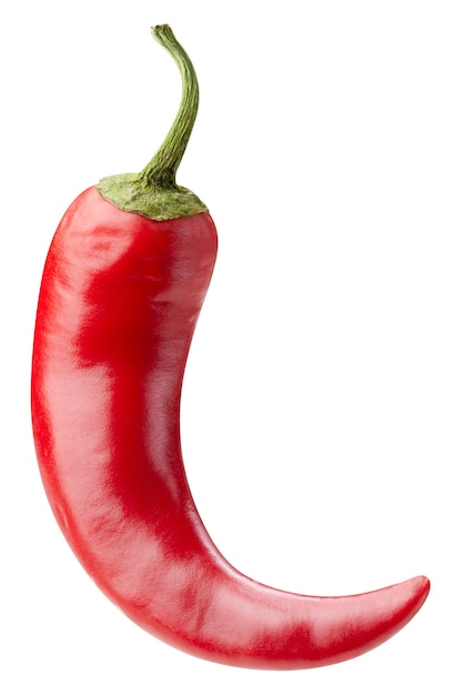 One chili hot pepper clipping path. Fresh red pepper. Chili pepper isolated on a white background