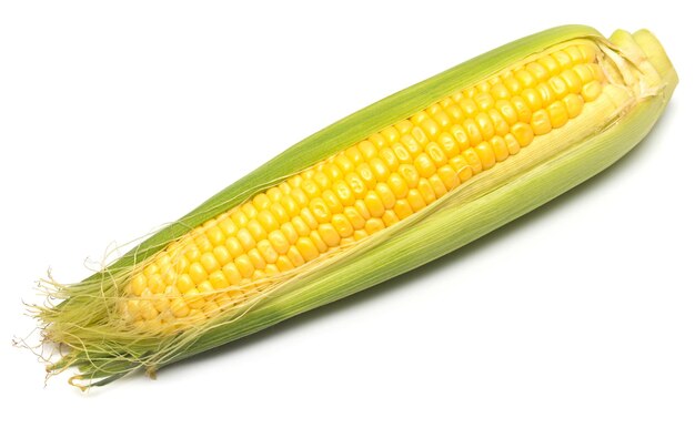 One corn isolated on white background. Top view, flat