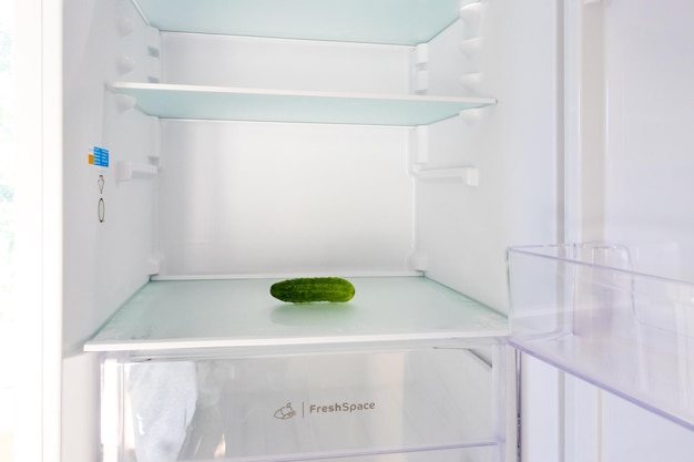 One cucumber in the fridge no food poverty