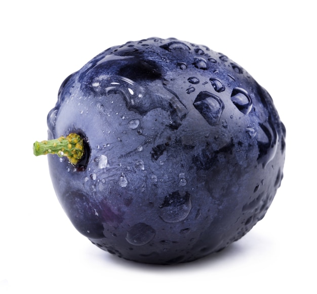 One dark blue grape in drops of water isolated