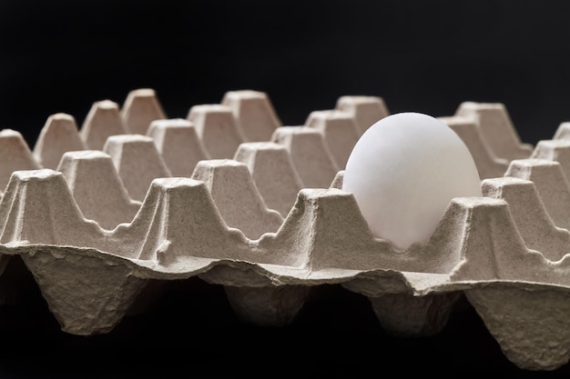 One egg in an egg carton tray on dark background