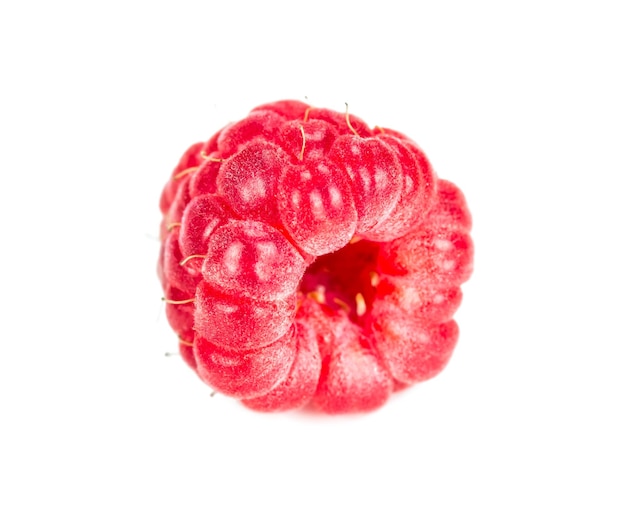 One fresh raspberries isolated on a white background