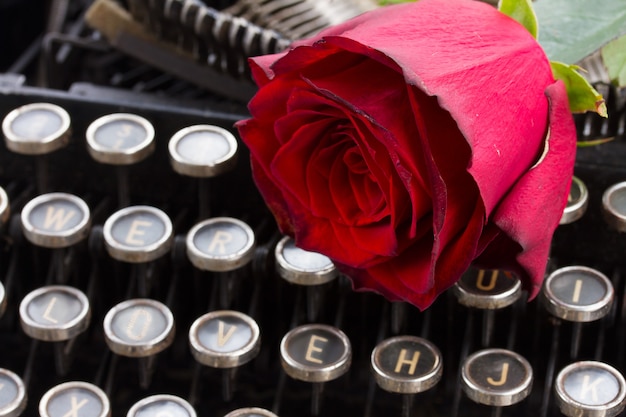 Una rosa rossa fresca sulla macchina da scrivere dell'annata con la parola di amore si chiuda