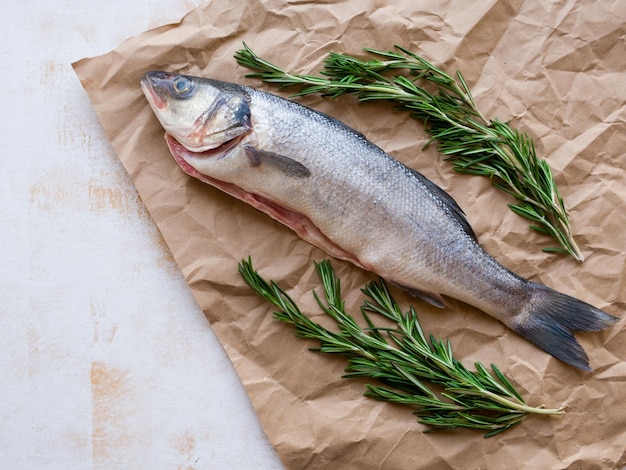 One fresh seabass fish with rosemary on craft paper on white background top view with copy space Mediterranean seafood concept