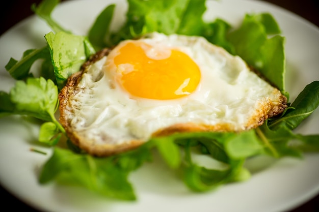 One fried egg with arugula and lettuce in a plate