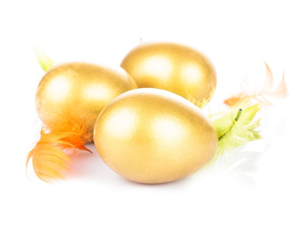 One golden eggs in the nest isolated on white