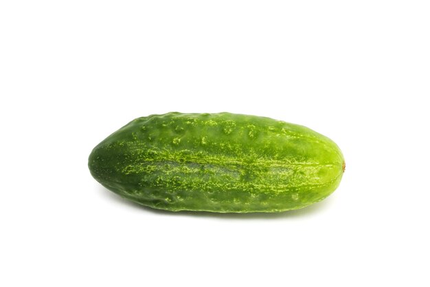 One green cucumber on a white background