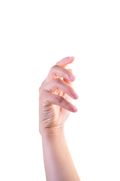 one hand on isolated background clipping path