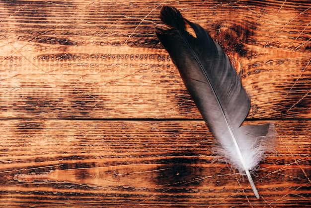 One hawk feather over old wooden table