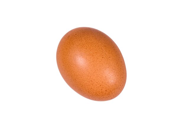 One hen egg isolated on a white background