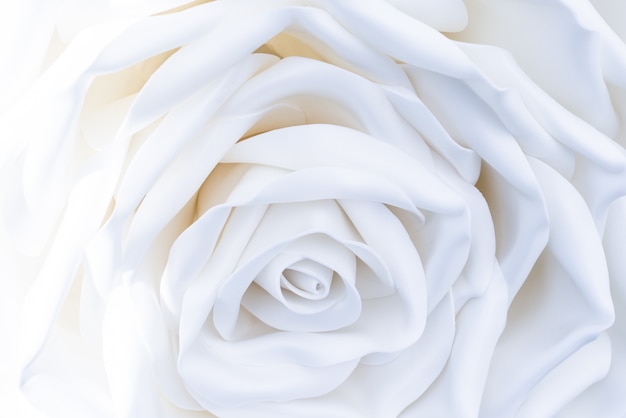 One huge, large white decorative rose