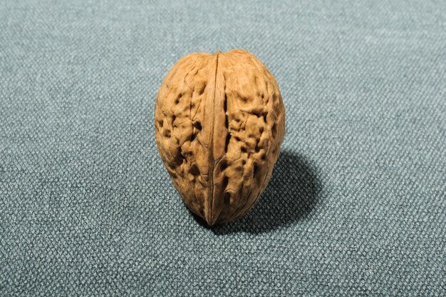 One large walnut in shell on gray fabric background