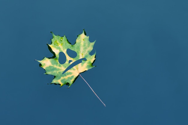 Photo one maple leaf with halloween face