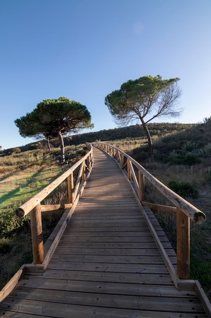 One of the most beautiful beaches in Spain, called (Cuesta Maneli, Huelva) in Spain.