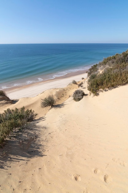 One of the most beautiful beaches in Spain, called (El Asperillo, Doñana, Huelva) in Spain.