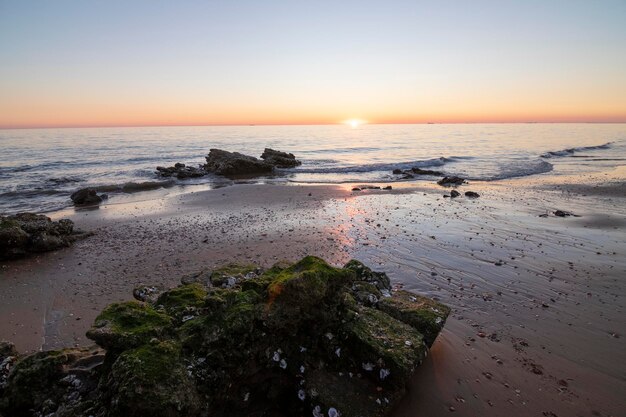 스페인에서 가장 아름다운 해변 중 하나로 스페인의 토레 델 로로(Torre Del Loro, Huelva)라고 합니다.