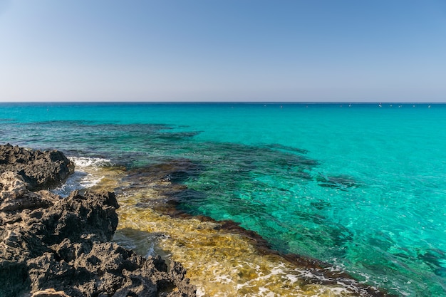 Foto una delle spiagge più popolari di cipro è la spiaggia di nissi, così come i suoi dintorni.