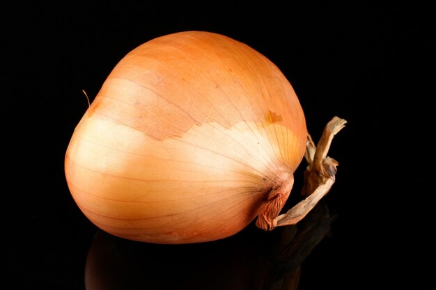 One onion on a dark surface