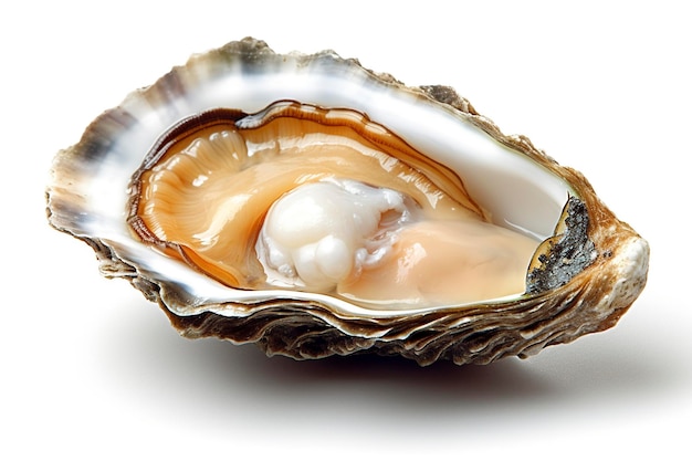 One open live oyster with pearls isolated on white background Ai generated