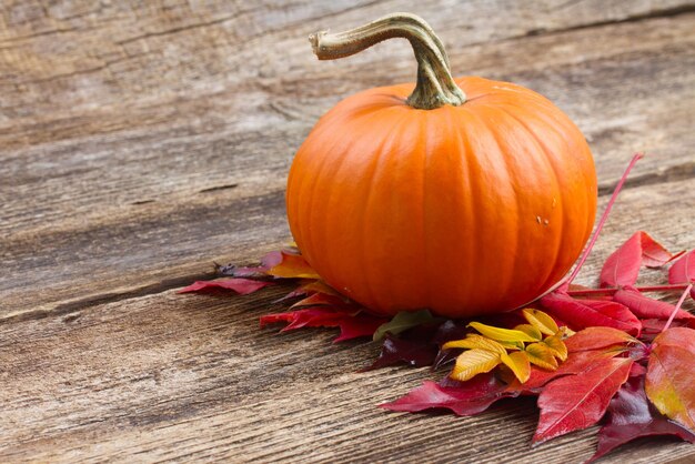 One orange pumpkin with fall leaves on wooden textured table