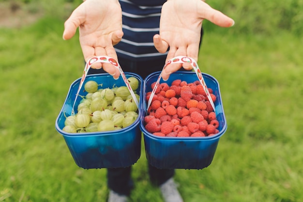 Photo one person showing two baskets of fresh berries
