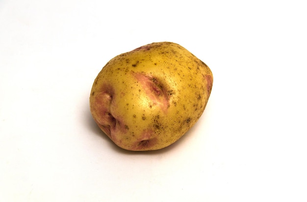 Photo one picasso potato variety for human consumption