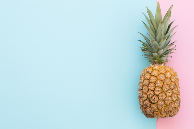 One pineapple on a color background