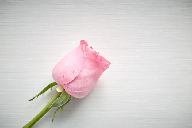 机の上の1つのピンクのバラ