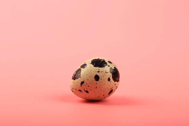 One quail egg on a pink background