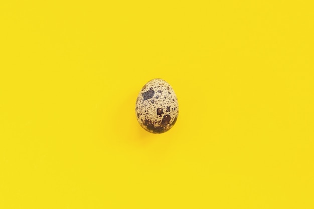 One quail egg on yellow paper background in minimal style. Easter concept. 