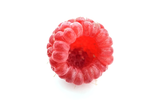One raspberry berry on white background