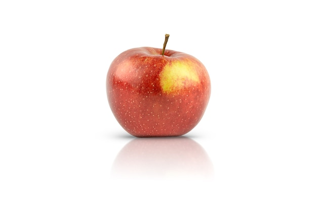 One red apple is isolated on a white background