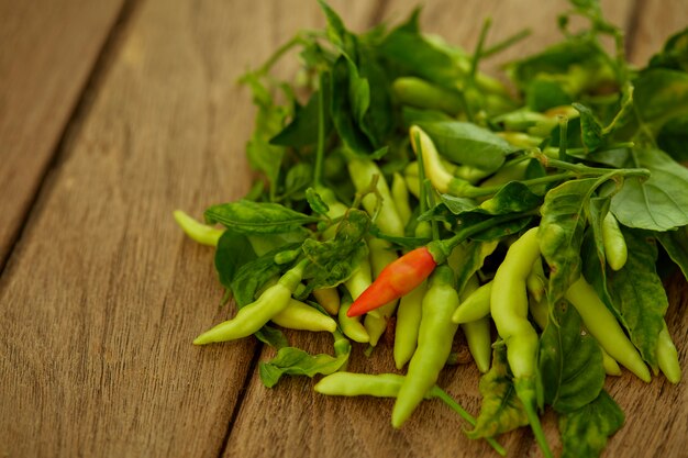 One Red chili pepper in green peppers