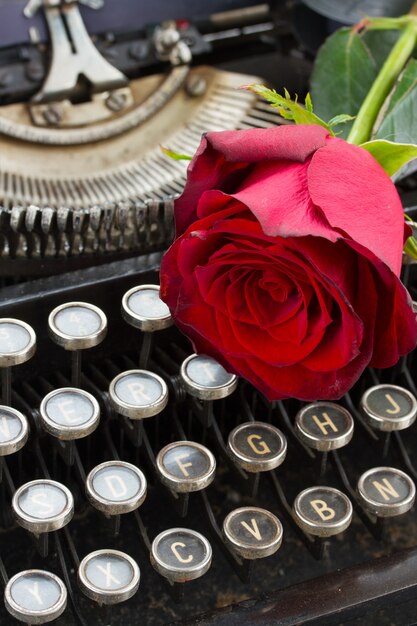 One red rose on vintage typewriter close up