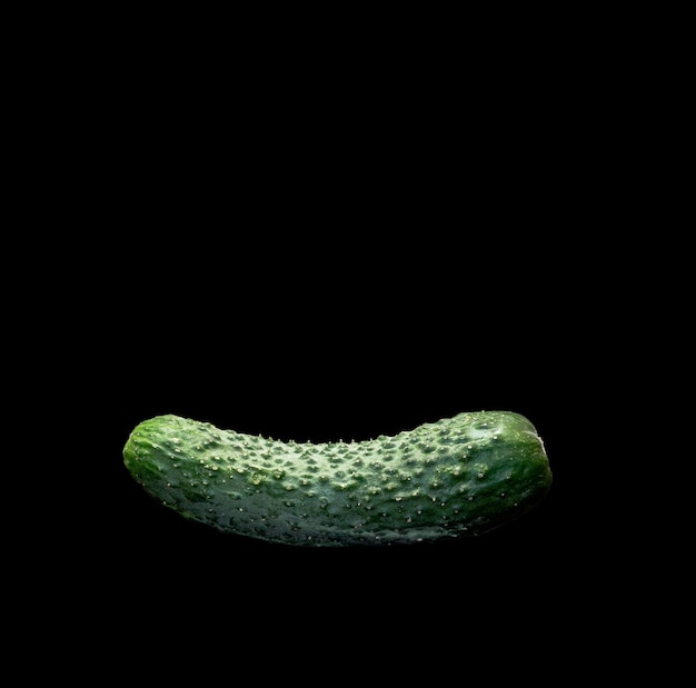 One ripe cucumber on black background