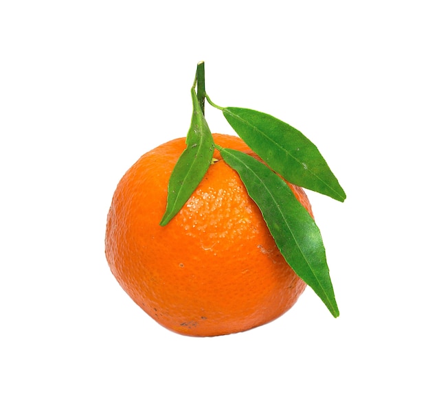 One ripe irregular orange mandarin with spots and green leaves isolated on a white background