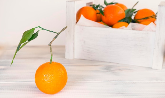 Un mandarino maturo con un ramoscello e foglie sullo sfondo di una scatola di mandarini