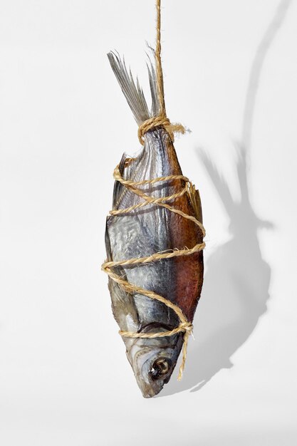 One saltdried vobla tied with string hanging on white background