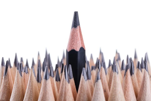 One sharpened black pencil among many ones