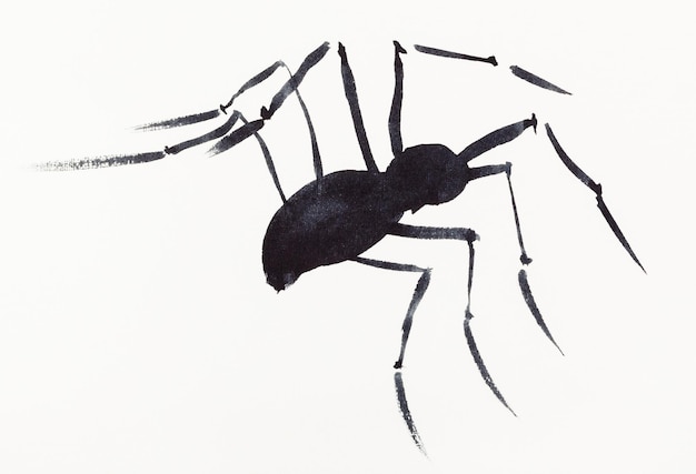 One spider drawn by black watercolors