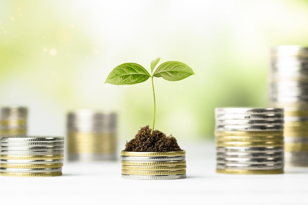 One sprout on a stack of coins money growth concept