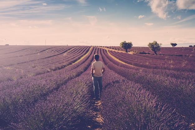 One standing man look the lavender field around him - human and beautiful travel scenic nature outdoors - france provence valensole location - fragrance and parfums production business