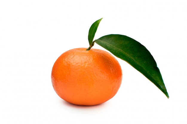 One tangerine with green leaves in a white background. Mandarin.