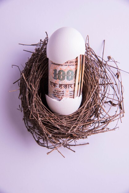 One thousand indian rupee note Coming Out from a Broken Egg in the Nest Against White Background