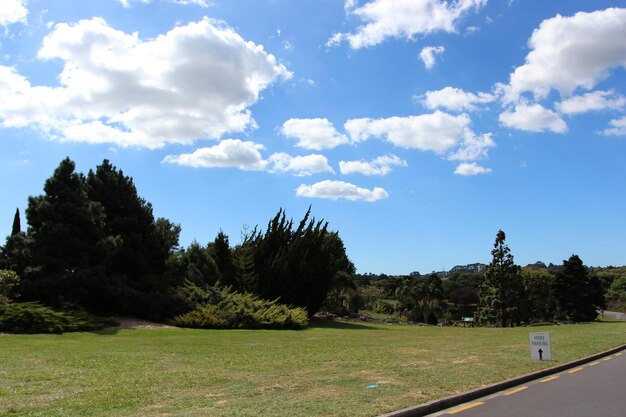 Foto maori del parco della città del paesaggio di one tree hill park auckland